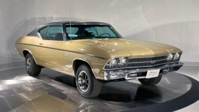 69 chevelle for sale