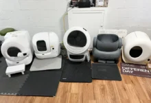 best automatic litter box