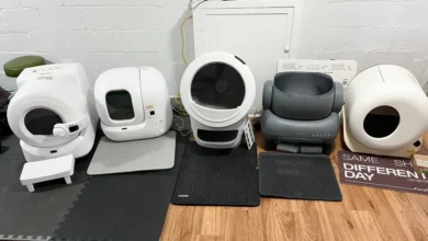 best automatic litter box