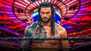 roman reigns news