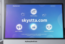 skystta com