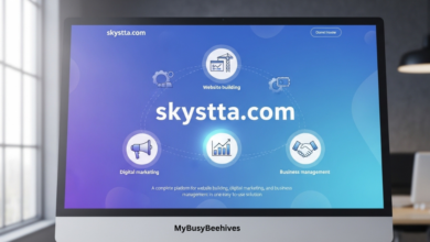 skystta com
