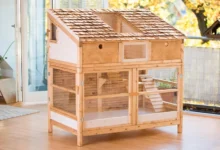 indoor rabbit hutch