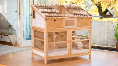 indoor rabbit hutch