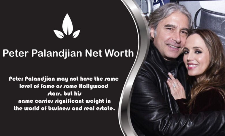 peter palandjian net worth